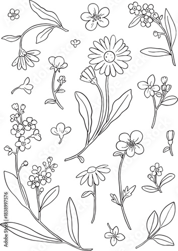 Detailed set of 18 hand-drawn outline wildflowers and garden flowers, including daisy, buttercup, and forget-me-not elements. Perfect for nature-themed packaging, scrapbooking, surface pattern design.