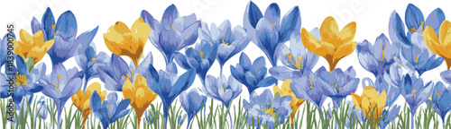 A seamless border of crocuses in various shades of blue and yellow, arranged neatly