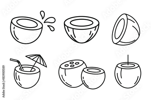 Coconut line art icon vector illustration