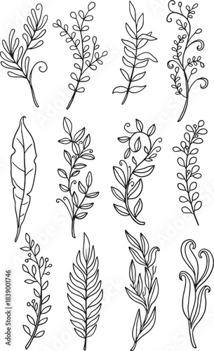 The ultimate master bundle: 120+ diverse hand-drawn vector botanical elements. This vast collection includes detailed wildflowers, stylized leaves, elegant stems, abstract berries, and ferns.