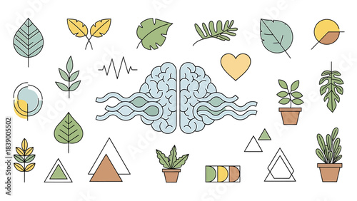 Brain and Nature - A Holistic Approach to Mental Wellness.