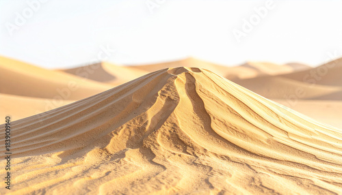 Fototapeta Naklejka Na Ścianę i Meble -  Golden Sand Dunes Rippled by Wind Under a Bright Sky Keywords: sand, desert, dune, sand dune