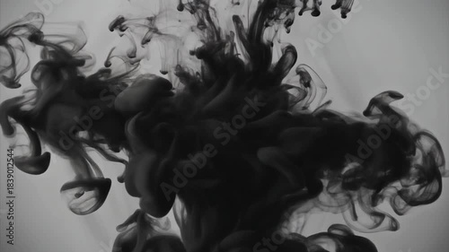 Black ink forming a looping vortex inside transparent liquid.