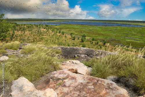 panoramic landscape view to the Kakadu National Park, NT, Australia
