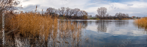 Calm autumn lakeside landscape with dry golden reeds, bare trees, village houses and soft cloudy sky reflected in the water. Tranquil rural scenery capturing the quiet mood of late fall.