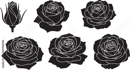 Six rose flowers and one unopened flower bud set silhouette collection black monochrome plant botanical illustration vector graphic