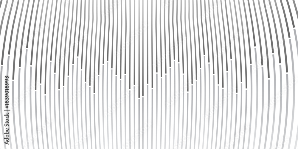 Fototapeta premium abstract white and gray stripe background vector illustration