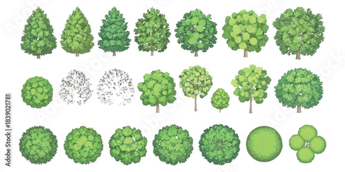 Diverse green tree collection top view, isometric illustrations for design