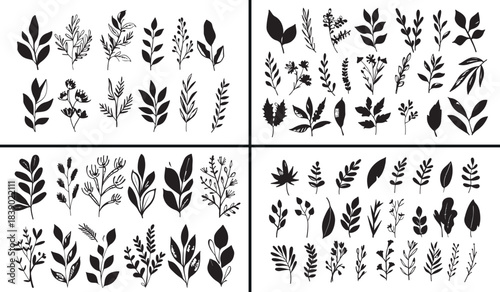 Leaf and floral illustration, combined foliage artwork, decorative floral pattern, botanical leaf composition, modern greenery vector, elegant floral decor, nature foliage artwork, hand drawn leaf vec