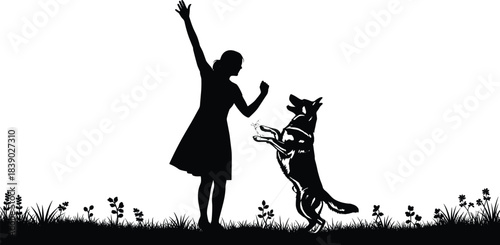 Silhouette girl training excited dog outdoors in grass, playful pet interaction, friendship, obedience practice, joyful bonding moment in nature