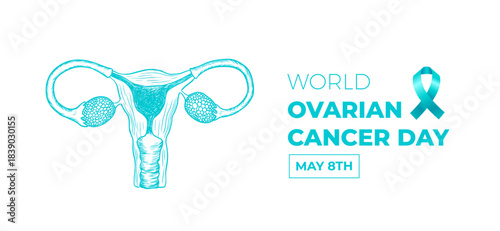 Banner for World ovarian cancer day. Hand drawn female reproductive system. Anatomical illustration
