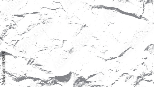 Organic white cell structure pattern with delicate black lines for abstract layouts. White wall texture with natural crack patterns for creative background applications. 