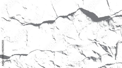 Organic white cell structure pattern with delicate black lines for abstract layouts. White wall texture with natural crack patterns for creative background applications. 