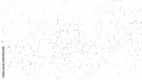 Irregular white cell pattern with fine black outlines for modern abstract backgrounds. Cracked white wall texture with subtle line details for minimalist design use. 