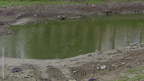 Shallow green pond with low water level and dirty cracked shore, scattered trash, plastic objects and old tires lying along muddy banks.