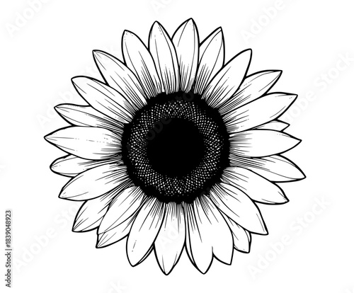 Radiant Solitude: Sunflower's Silent Symphony Black White | Clean, isolated vector art for creative projects.