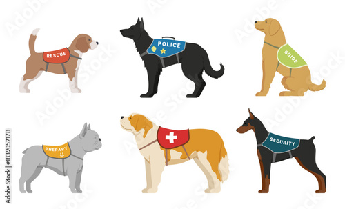A set of service dogs designed to provide assistance in various roles including rescue, therapy, police, guide dogs, and security, in a flat vector style.