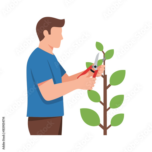 Man pruning a tree with gardening shears, illustration