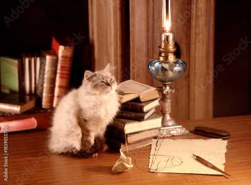 une ambiance tranquille