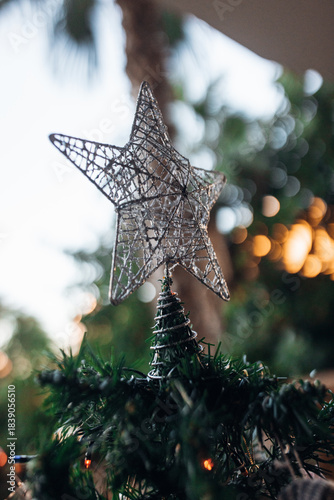 Christmas Decorations and a Festive Tropical Tree at Sunset