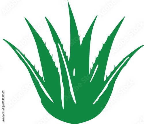 Aloe vera plant silhouette white