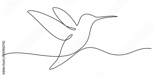 Continuous one line drawing of collibri. Humming bird. Abstract flying bird outline vector illustration.
