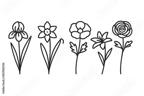 Five simple outline spring flowers on stems for seasonal design