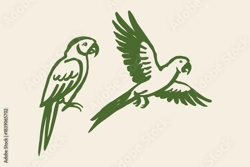 Two parrots macaw tropical cartoon sketch vector illustration
