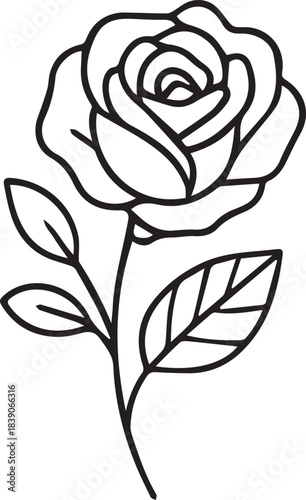 Hand-drawn doodle vector illustration of a rose branch for Valentine’s Day, created in simple black and white line art for romantic themes, love designs, floral decorations and coloring pages.