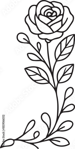 Hand-drawn doodle vector illustration of a rose branch for Valentine’s Day, created in simple black and white line art for romantic themes, love designs, floral decorations and coloring pages.
