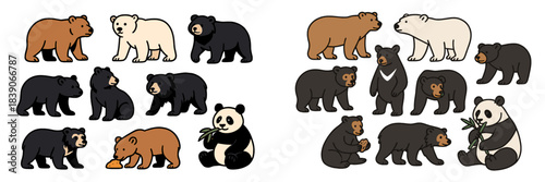 Various bear species in vector illustration with playful poses