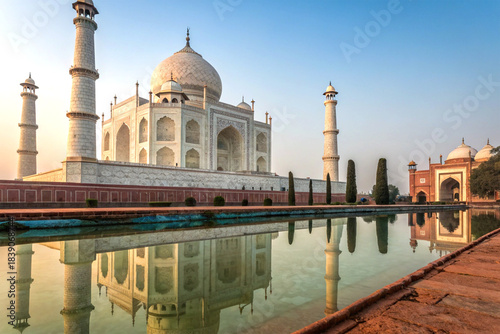Ivory view of the taj mahal