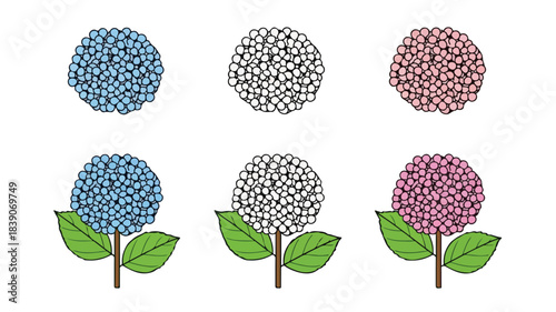 Flat lay of six hydrangea flowers in blue, white, and pink hues with green leaves on brown stems against a clean white background.