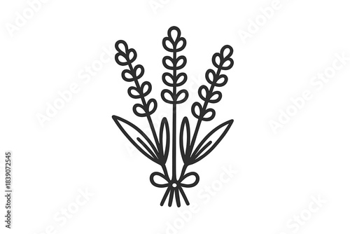 Outline bouquet of three lavender flower stalks tied with a decorative bow