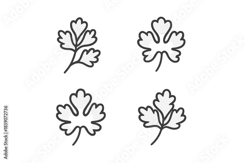 Four stylized parsley leaf icons featuring a bold black outline
