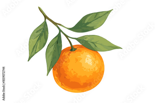 Single ripe orange citrus fruit with vibrant green leaves on a small branch