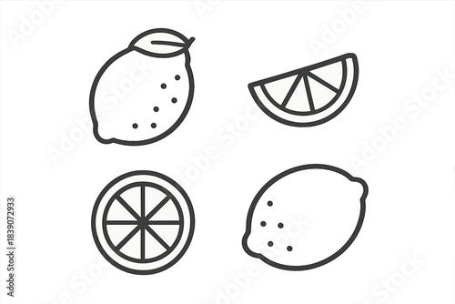 Collection of simple outline icons depicting whole and sliced lemons