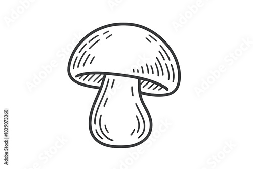 Stylized hand drawn mushroom sketch with detailed hatching texture