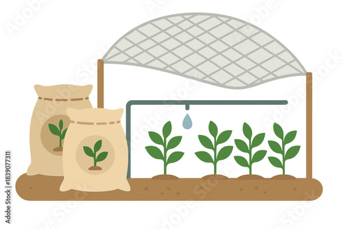 Young seedling development under protective netting with drip irrigation system