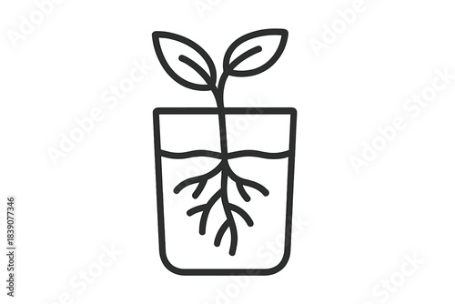 Minimalist line drawing of plant seedling roots developing in water