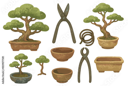 Collection of bonsai tree cultivation tools and miniature potted plants