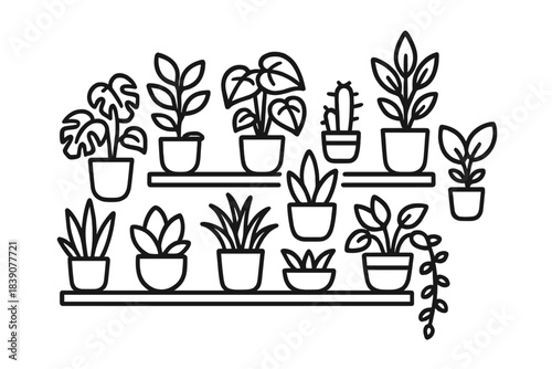 Collection of various potted houseplants displayed on shelves outline style
