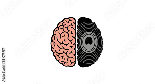 A visual representation of a human brain, with one half depicted realistically and the other half stylized as a vinyl record or target.