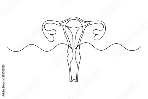Continuous line drawing of a human uterus icon minimalist simple style