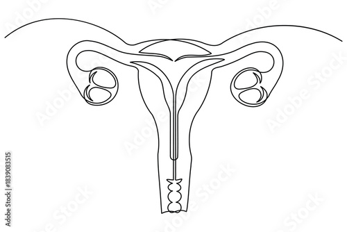Minimalist uterus icon single line art outline womens health illustration