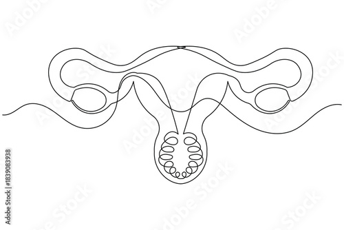 Single line art illustration of a uterus continuous outline drawing