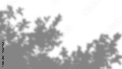 Realistic tree branches and leaves gray shadow overlay effect isolated on transparent background. Natural leaves and tree branches dark blur shadow background for sunlight. Vector illustration.