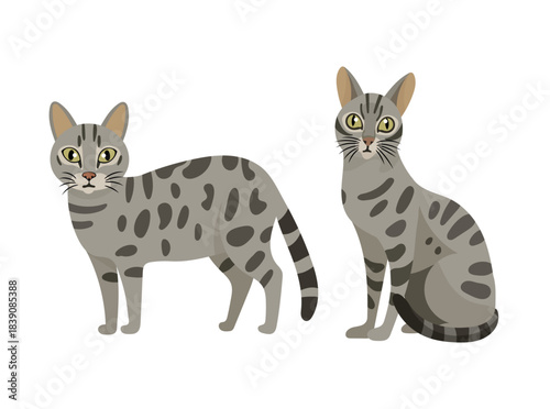 Egyptian Mau cat. Flat vector clipart illustration with isolated background.