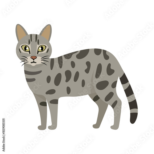 Egyptian Mau cat. Flat vector clipart illustration with isolated background.