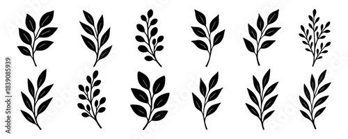 Silhouettes of leafy branches in simple natural shapes. Each branch shows unique leaf count and gentle organic flow